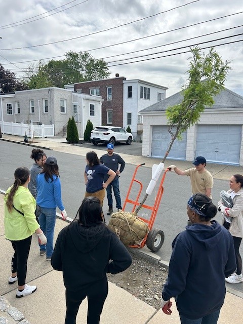 A group of people stand on a sidewalk near a small tree on a dolly, preparing to plant it by the curb in a residential neighborhood.